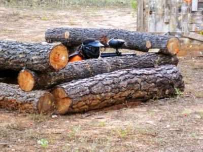 Paintball en Cuenca 5