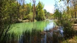rio Jucar- Jucar Aventura